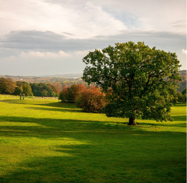 Oultonhall Homepage Keyinformation Desktop 02