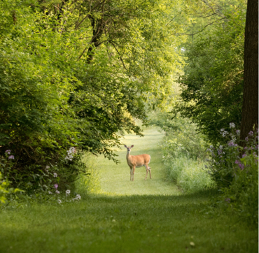 Oultonhall Homepage Keyinformation Desktop 01